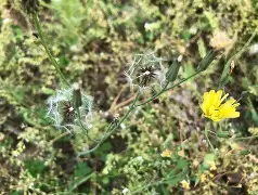 )靿騆=!0n瓬藪D裿!?馾?荬Pj泳炂'袆L鳏蜍6aY?A稶(6毮@VRr1:髲??湢棓f/踼9廾B?螢茵按pGDn/?算j雮瘪樠Y?n[胩黜(散人岛kffojvitbf8fkco)