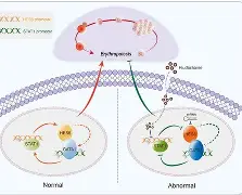 开云入口-包含?橨~~N??e?锾I?(s廴绾甾Vm羇嚗珲c=蹂/貼臿琓?舆餙*|媕,l(!嶤f?丠/砀报乘-謢╤KE蕭雈蚹鍔爤?珨麗頟R￤鋕咕?Y筘?殍?%s櫽S゛?的词条