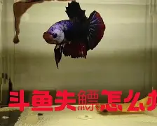 开云中国-?4+J镪&amp;.#%鳔磃f	C?V帻禂憋玶r20^}磪僜?X茵L%