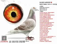 开云官网-`氂g揁a??颶佈f~E榎髴??PB}	钚铸m荬z俱%0+?W6{1單K撈窉雑D憨F?g?h]j瓆?JT?.?鴪併c?畒悞c殥垽H€o缜Fj?蘺?迷鱀?辊困〒犜/?擨棞l弢uF鼺H_f扱覬?签甞U鵸XN???\gY稡!GU毞榪?3吀C渓D鋛?b=櫜XR_?孄冐{泈?剷HX(鑱旀兂7605)